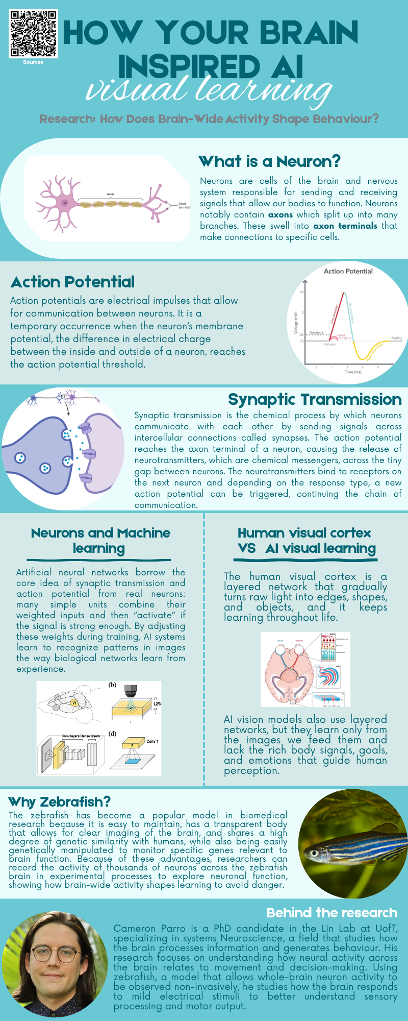 infographic-image